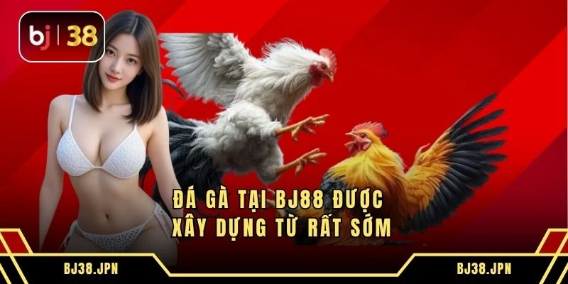 Đá gà tại Bj88 được xây dựng từ rất sớm