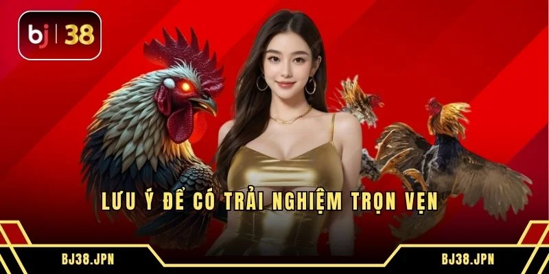 Lưu ý để có trải nghiệm trọn vẹn