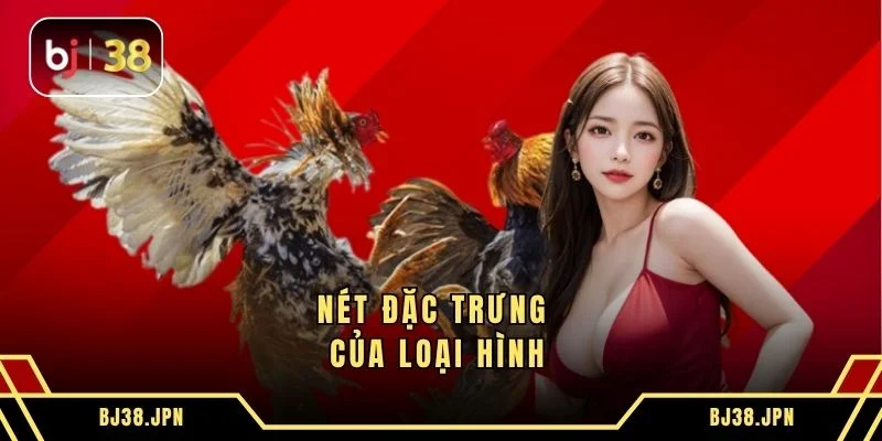 Nét đặc trưng của loại hình