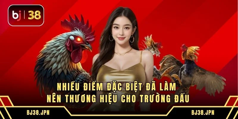 Nhiều điểm đặc biệt đã làm nên thương hiệu cho trường đấu