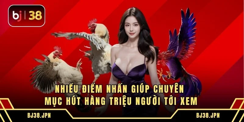 Nhiều điểm nhấn giúp chuyên mục hút hàng triệu người tới xem